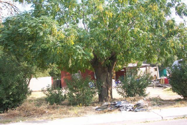 4221 N 18th Dr., Phoenix, AZ 85015