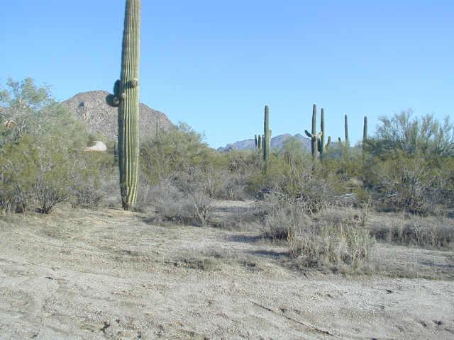 9001 E Red Bird Rd., Scottsdale, AZ 85255