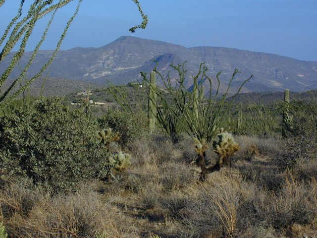 7500 E Highland Rd. #MB, Cave Creek, AZ 85331