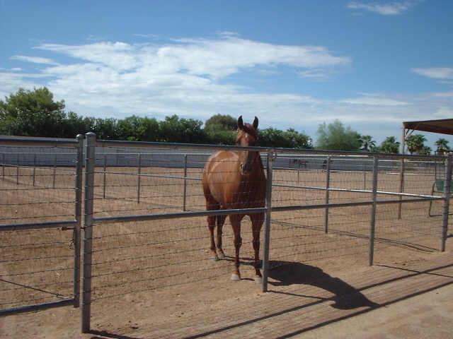 11411 E Arabian Park Dr., Scottsdale, AZ 85259