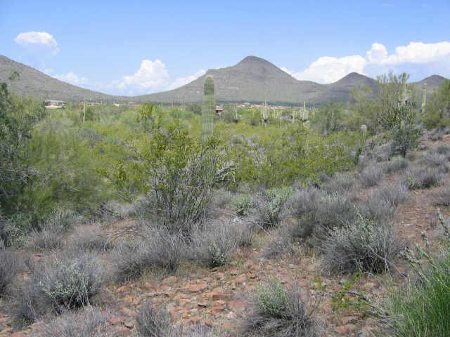 27 E Tanya Rd., Cave Creek, AZ 85331