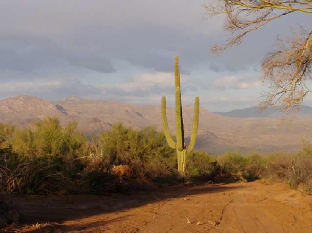 160 E Walking Stick Ter. #2, Rio Verde, AZ 85262
