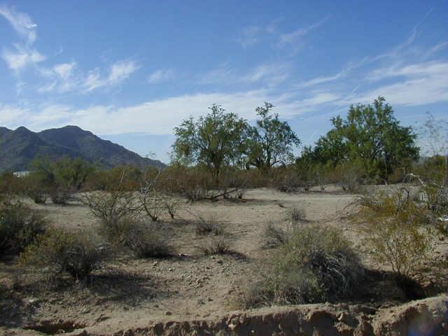 4246 N Branding Iron Rd. #43, Maricopa, AZ 85239