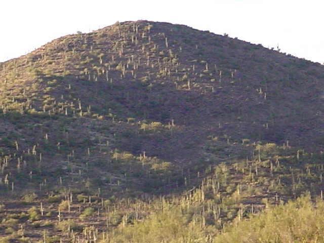 49625 N 7th Ave., Phoenix, AZ 85087