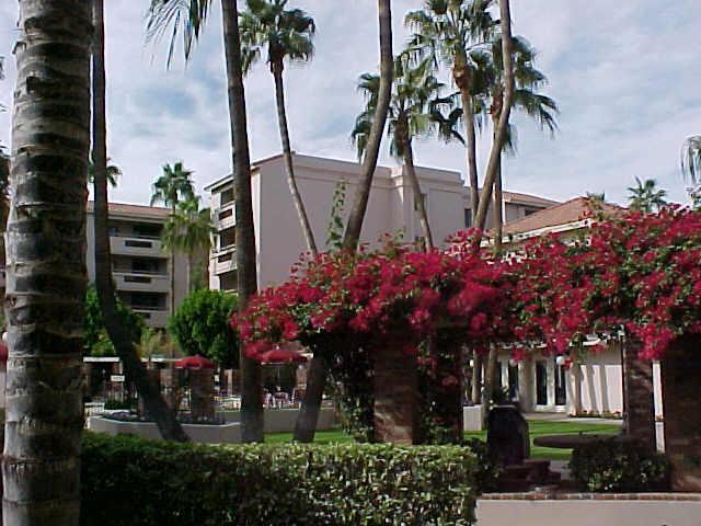 4200 N Miller Rd. #121, Scottsdale, AZ 85251