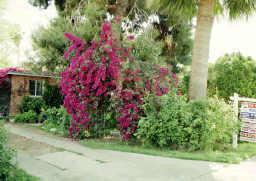 349 E Clarendon Ave., Phoenix, AZ 85012