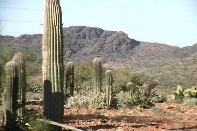 N Hwy60/93 #1, Wickenburg, AZ 85390