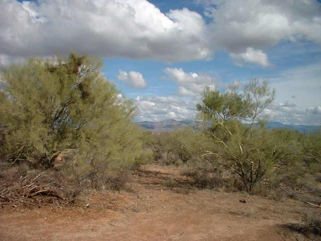 142 N Dale Lane Allignment Rd. #B, Scottsdale, AZ 85262