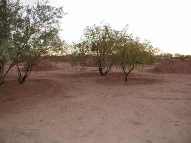 22835 E Ivanhoe St., Mesa, AZ 85212