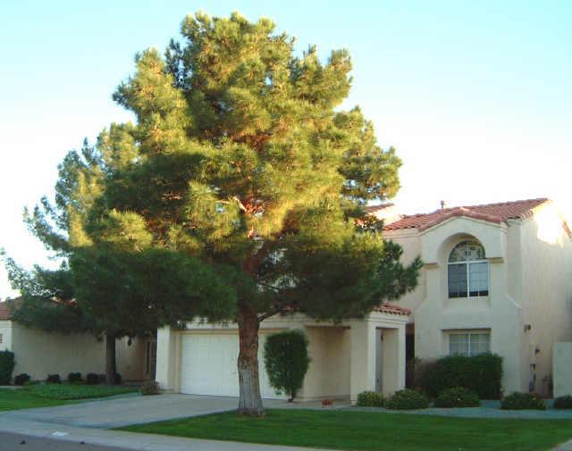 4109 E Desert Cove Ave., Phoenix, AZ 85028