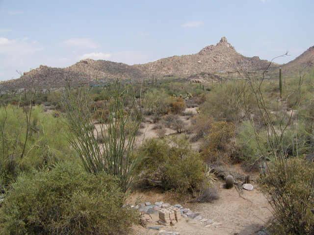 27600 N 94th St. #19D, Scottsdale, AZ 85262