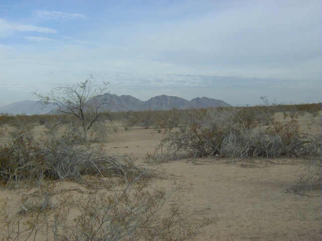 W Miller Rd., Maricopa, AZ 85239