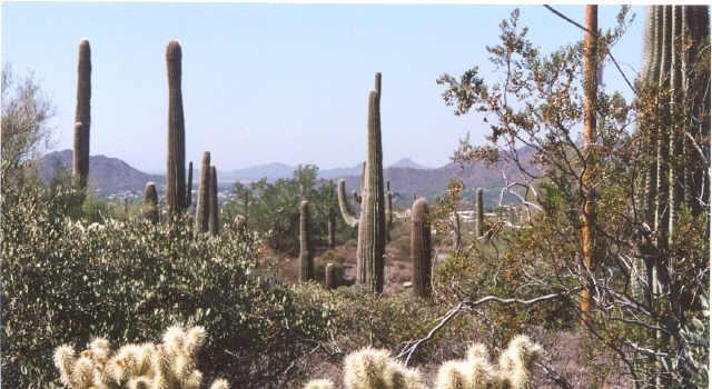 42400 N 72nd St., Cave Creek, AZ 85331