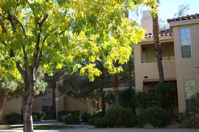 10101 N Arabian Ter. #1005, Scottsdale, AZ 85258