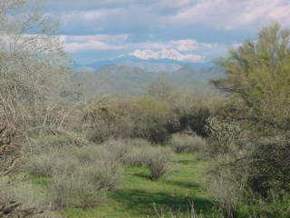 30000 N 168th St., Scottsdale, AZ 85263