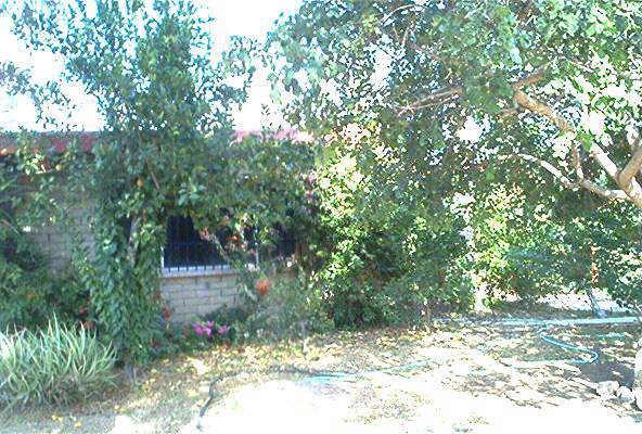 416 E Sixth St., Eloy, AZ 85231