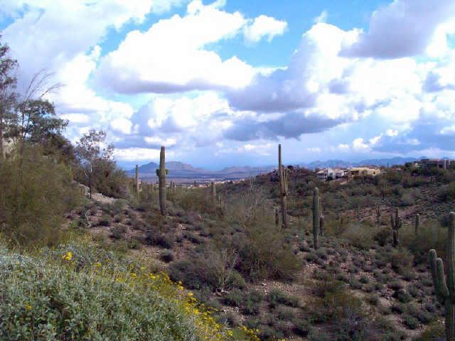 E Sawik Cir. #1, Fountain Hills, AZ 85268