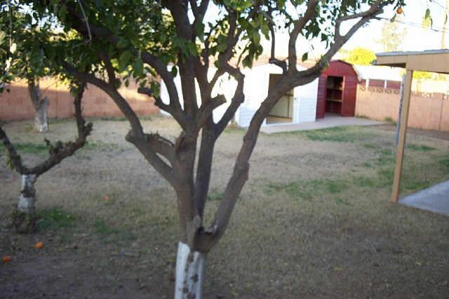 312 E 8th Dr., Mesa, AZ 85210