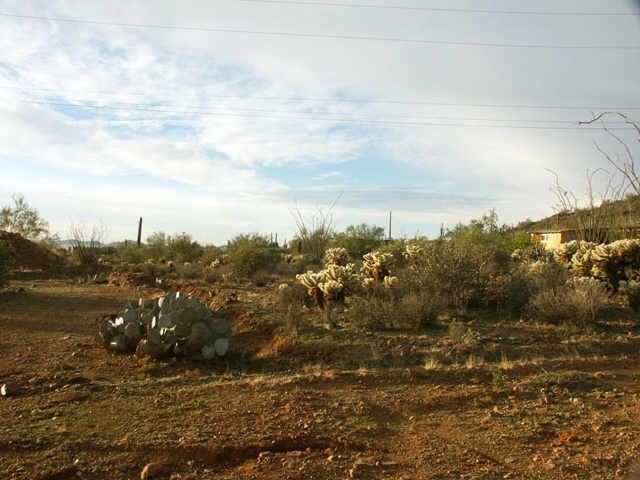 42645 N 13th Ave., Phoenix, AZ 85029