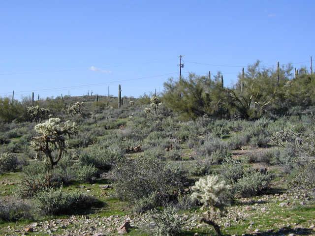 3344 S Yaqui Ln., Gold Canyon, AZ 85218