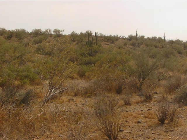 45700 N 18th St. #4, New River, AZ 85087