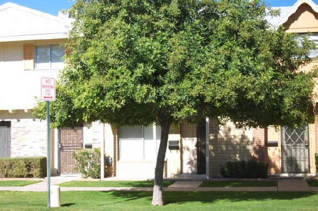 8506 E Mcdonald Dr. #94, Scottsdale, AZ 85250