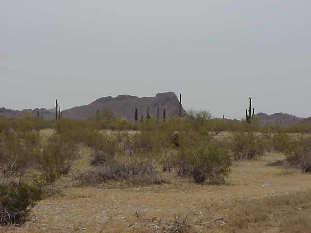 N Pamela Ln., Queen Creek, AZ 85242