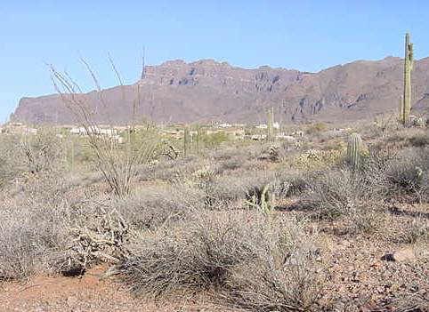 S Blackhawk Rd., Gold Canyon, AZ 85218