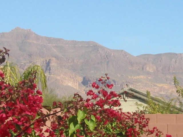 9002 E Cedar Basin Ln., Gold Canyon, AZ 85218