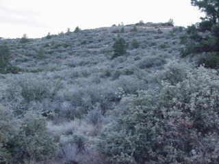 N Trap Rd., Peeples Valley, AZ 86332