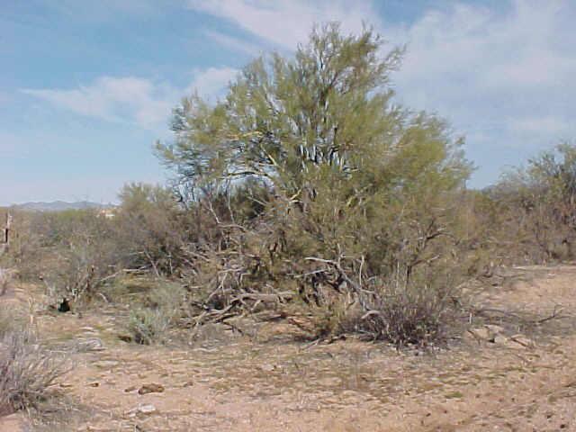 14600 E Peak View Dr. #3, Scottsdale, AZ 85262