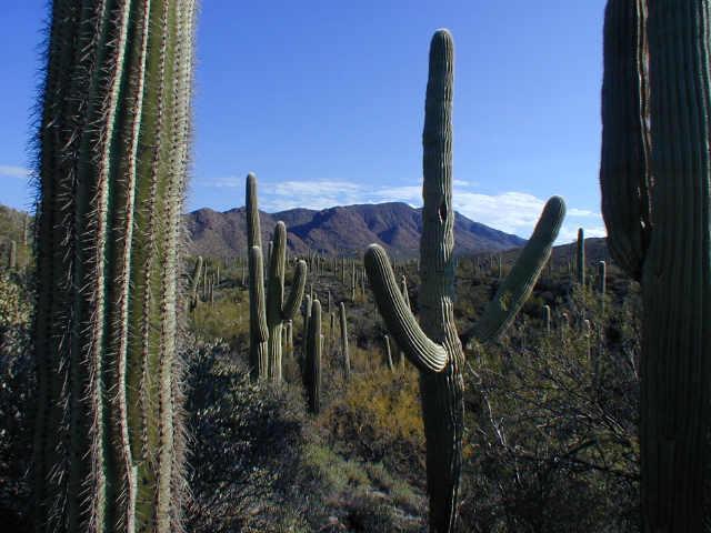 44000 N Fleming Springs Rd., Cave Creek, AZ 85327