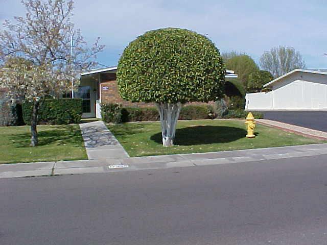 17338 N Del Webb Blvd., Sun City, AZ 85373