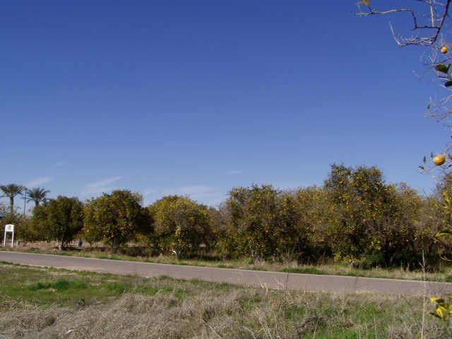 18110 E Vallejo St., Gilbert, AZ 85298