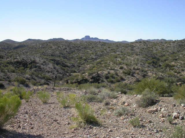 5 S Ocotilla St., Wickenburg, AZ 85390