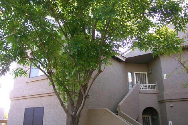 15252 N 100th St. #2178, Scottsdale, AZ 85260