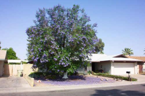 7716 N 47th Dr., Glendale, AZ 85301