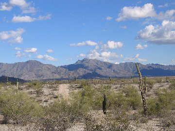19100 W Pecos Rd., Goodyear, AZ 85326