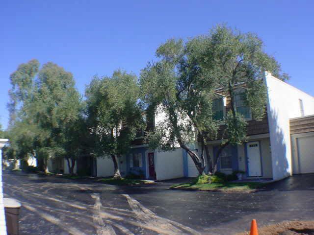 1262 E Medlock Dr., Phoenix, AZ 85014