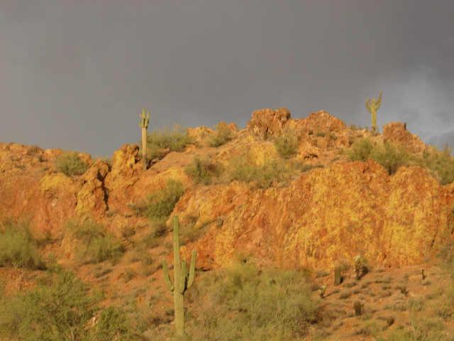 26403 N El Pedregal/lot 16 St. #16, Queen Creek, AZ 85242