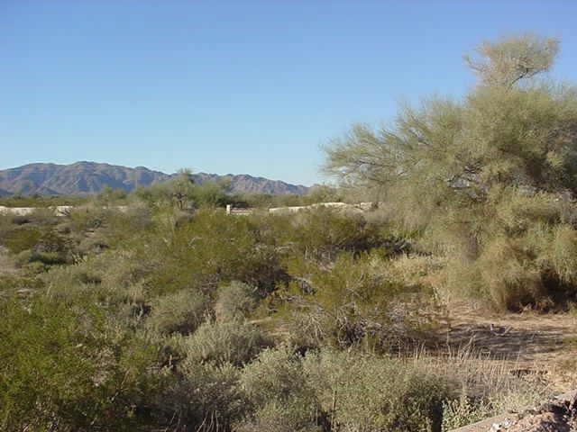 19208 W Puget Ave. #4, Waddell, AZ 85355