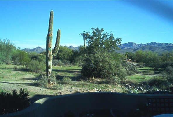 19124 E Buckskin Ct., Rio Verde, AZ 85263