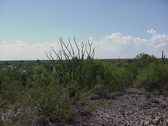 39384 E Sunset Vista Dr. #1, Peoria, AZ 85383