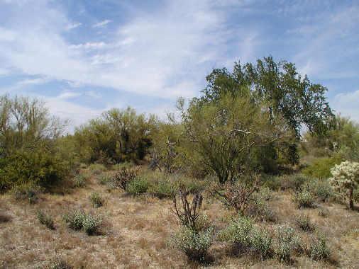 7500 E Morning Vista Ln. #2, Scottsdale, AZ 85262