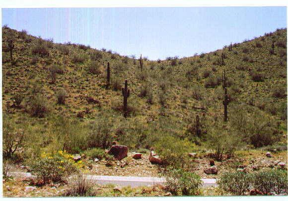 13155 E Larkspur Dr. #9, Scottsdale, AZ 85259