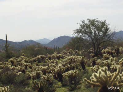 7926 E Crisscross Way, Cave Creek, AZ 85331
