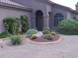 779 E Stottler Dr., Gilbert, AZ 85296