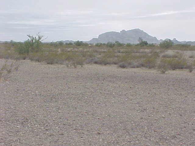 N 416 Dr. #899, Tonopah, AZ 85354