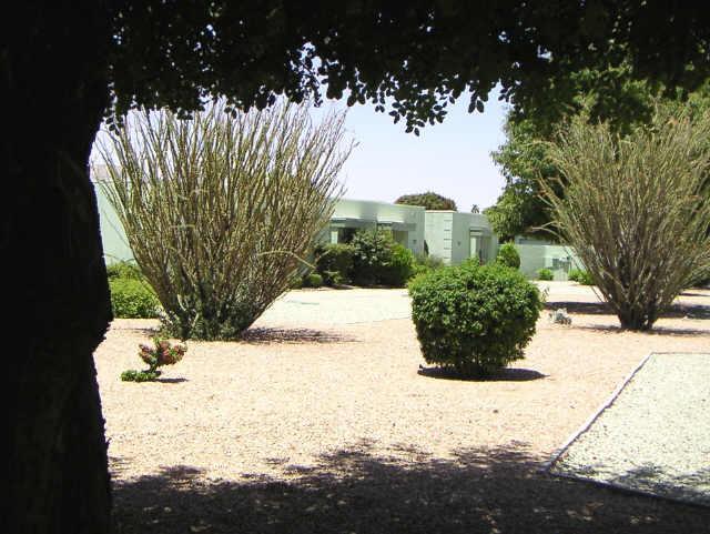 10540 W Palmeras Dr., Sun City, AZ 85373