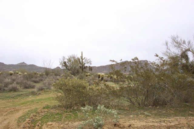 205 W Yucca St., Phoenix, AZ 85086